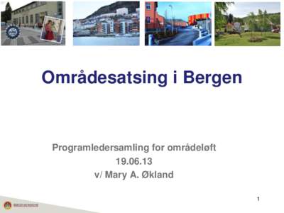 Områdesatsing i Bergen  Programledersamling for områdeløftv/ Mary A. Økland 1