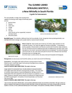 The GUMBO LIMBO SPIRALING WHITEFLY, a New Whitefly in South Florida A guide for homeowners This new whitefly is a large, slow moving insect capable of infesting a wide range of landscape plants