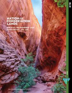 Bureau of Land Management / National Landscape Conservation System / Omnibus Public Land Management Act / National Conservation Area / Wilderness / Grand Staircase-Escalante National Monument / California protected areas / Black Rock Desert – High Rock Canyon Emigrant Trails National Conservation Area / Protected areas of the United States / Environment of the United States / United States