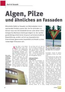 Dach & Fassade  Algen, Pilze