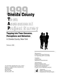 1999  Oneida County Tee e n Assessment ssessment