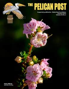THE  PELICAN POST A quarterly publication - Weeks Bay Foundation Summer 2014 Volume 29, No. 2