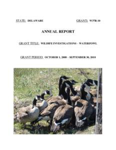 STATE: DELAWARE  GRANT: W37R-10 ANNUAL REPORT GRANT TITLE: WILDIFE INVESTIGATIONS – WATERFOWL