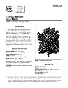 Fact Sheet ST-48 November 1993 Acer saccharinum Silver Maple1 Edward F. Gilman and Dennis G. Watson2