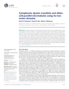 RESEARCH ARTICLE elife.elifesciences.org Cytoplasmic dynein crosslinks and slides anti-parallel microtubules using its two motor domains