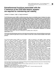 Extraribosomal functions associated with the C terminus of the 37&sol;67&thinsp;kDa laminin receptor are required for maintaining cell viability