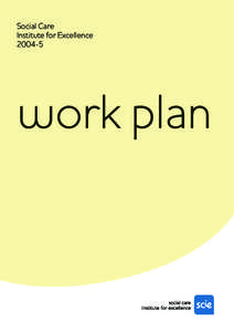 Social Care Institute for Excellence[removed]work plan