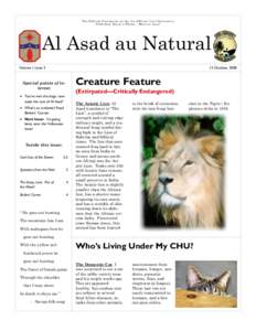 Felines / Lions / Cat / Feral cat / Sand cat / Caracal / Wildcat / Felidae / Al Asad Airbase / Zoology / Felis / Biology