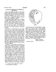 SCIENCE  NOVEMBRR 2, 1928] A GENIC