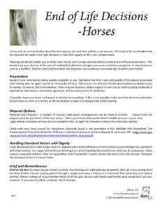 Cremation / Horse / Burial / Death customs / Equidae / Culture