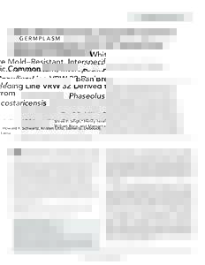 GERMPLASM  White Mold–Resistant, Interspeciﬁc Common Bean Breeding Line VRW 32 Derived from Phaseolus costaricensis Shree P. Singh,* Henry Terán, Howard F. Schwartz, Kristen Otto, Daniel G. Debouck,