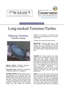 WASAH WESTERN AUSTRALIAN SOCIETY of AMATEUR HERPETOLOGISTS (Inc) KEEPING ADVICE SHEET  Long-necked Tortoises/Turtles