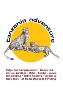 Tanzania / Safari / Serengeti National Park / Ruaha National Park / Zanzibar / Selous Game Reserve / Ngorongoro Conservation Area / Katavi National Park / Coastal Aviation / Africa / Geography of Tanzania / Arusha