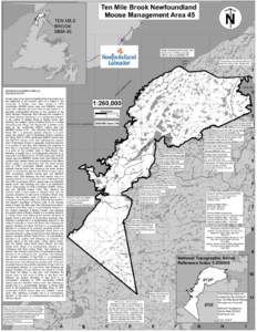 Ten Mile Brook Newfoundland Moose Management Area 45 ( 