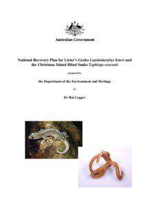 Recovery Plan for Lister's Gecko Lepidodactylus listeri and the Christmas Island Blind Snake Typhlops exocoeti