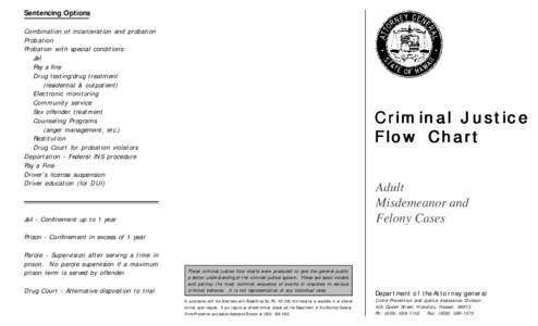 Sentencing Options Combination of incarceration and probation Probation Probation with special conditions: Jail Pay a fine