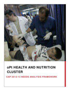 oPt HEALTH AND NUTRITION CLUSTER CAP[removed]NEEDS ANALYSIS FRAMEWORK