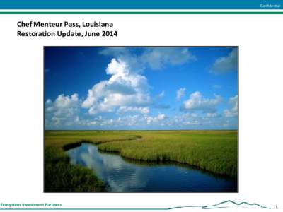 Confidential  Chef Menteur Pass, Louisiana Restoration Update, June[removed]Ecosystem Investment Partners