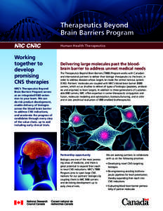 Therapeutics Beyond Brain Barriers Program Human Health Therapeutics Working together to