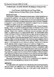 Plant morphology / Flora of New South Wales / Hakea / Natural history of Australia / Bedfordia / Leaf / Sclerophyll / Tree / Flora of Tasmania / Biology / Botany