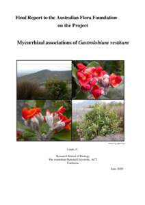 Final Report to the Australian Flora Foundation on the Project Mycorrhizal associations of Gastrolobium vestitum  Photos by MD Crisp
