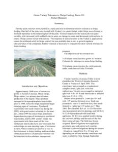 Onion Variety Tolerance to Thrips Feeding, Fruita CO Robert Hammon Summary Twenty onion varieties were planted in a replicated trial to determine relative tolerance to thrips feeding. One half of the plots were treated w