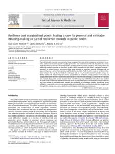 Resilience and marginalized youth: Making a case for personal and collective meaning-making as part of resilience research in public health