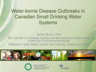 Water-borne Disease Outbreaks in Canadian Small Drinking Water Systems Sylvia Struck, PhD BC Centres for Disease Control and the National Collaborating Centre for Environmental Health
