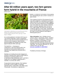 After 60 million years apart, two fern genera form hybrid in the mountains of France