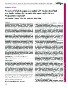 © 2014. Published by The Company of Biologists Ltd | The Journal of Experimental Biology, doi:jebRESEARCH ARTICLE Neurohormonal changes associated with ritualized combat and the for