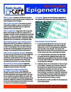 Public Health  Fast Facts about Epigenetics