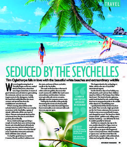 travel  seduced by the seychelles Tim Oglethorpe falls in love with the beautiful white beaches and extraordinary wildlife  W