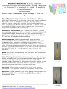 Encalypta brevicollis (B.S.G.) Ångström synonym: Encalypta brevicolla (Bruch & Schimp.) Ångström var. crumiana (D.G. Horton) H.A. Crum & L.E. Anderson candle-snuffer moss Encalyptaceae status: State Endangered, USFS 