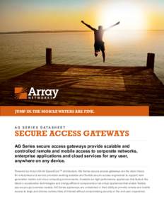 JUMP IN. THE MOBILE WATERS ARE FINE.  A G S E R I E S D ATA S H E E T SECURE ACCESS GATEWAYS AG Series secure access gateways provide scalable and