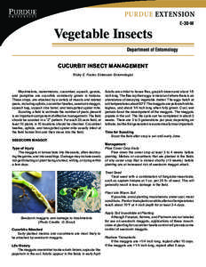 PURDUE EXTENSION  Vegetable Insects E-30-W