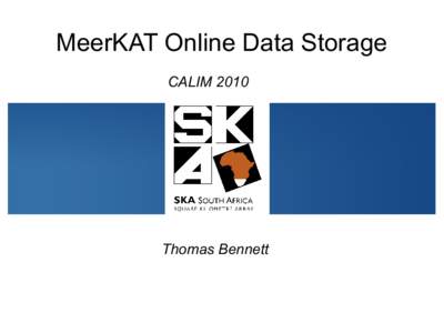 MeerKAT Online Data Storage CALIM 2010 Thomas Bennett  Overview of Current Effort