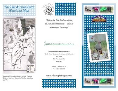 The Pas & Area Bird Watching Map Adventure Territory “Enjoy the best bird watching