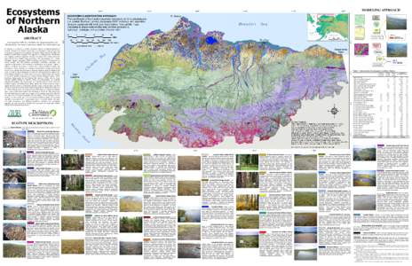 Ecosystems of Northern Alaska MODELING APPROACH