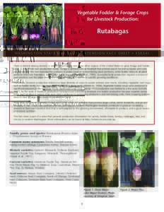 Vegetable Fodder & Forage Crops for Livestock Production: Rutabagas  WA S H I N G T O N S TAT E U N I V E R S I T Y E X T E N S I O N FA C T S H E E T • F SE