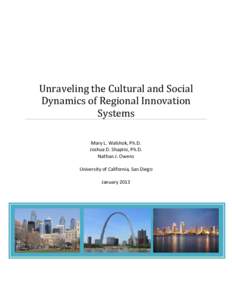 Unraveling the Cultural and Social Dynamics of Regional Innovation Systems