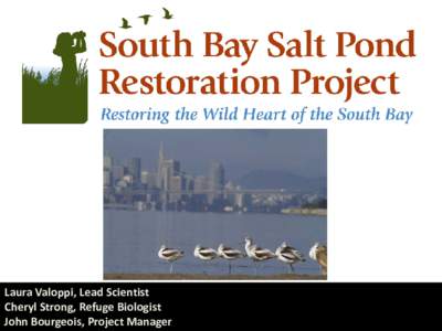 Laura Valoppi, Lead Scientist Cheryl Strong, Refuge Biologist John Bourgeois, Project Manager Presentation Outline • San Francisco Bay