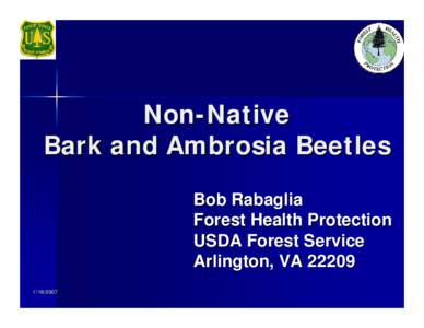 Non-Native Bark and Ambrosia Beetles Bob Rabaglia Forest Health Protection USDA Forest Service Arlington, VA 22209