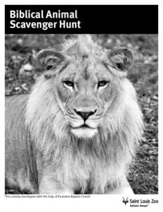 Biblical Animal Scavenger Hunt This activity developed with the help of Eastview Baptist Church  Biblical Animal Scavenger Hunt Grades 4-8