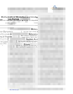 Mathematical Modeling and Analysis Molecular Dynamics Simulations of Peptide Nucleic Acid in Lipid Bilayer Pawel Weronski ,