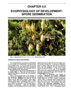 Plant morphology / Reproduction / Plant anatomy / Seeds / Germination / Spore / Protonema / Sporogenesis / Gametophyte / Biology / Botany / Plant reproduction
