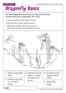 Activity Sheet 1  Steve Parish KIDS Story Book Insects Series by Rebecca Johnson Dra gonf ly Dance Use the Dragonfly Dance book to help you with this