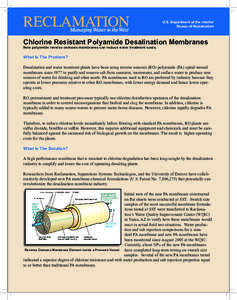 U.S. Department of the Interior Bueau of Reclamation Chlorine Resistant Polyamide Desalination Membranes New polyamide reverse osmosis membranes can reduce water treatment costs.