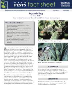 Squash Bug Fact Sheet Aug 08.indd