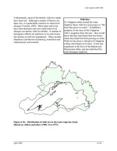 Brook trout / Lake trout / Lake Superior / Brown trout / Rainbow trout / Trout / Nipigon River / Superior Shoal / Spawn / Fish / Salvelinus / Oncorhynchus