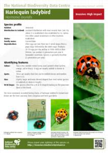 The National Biodiversity Data Centre  Harlequin ladybird Documenting Ireland’s Wildlife